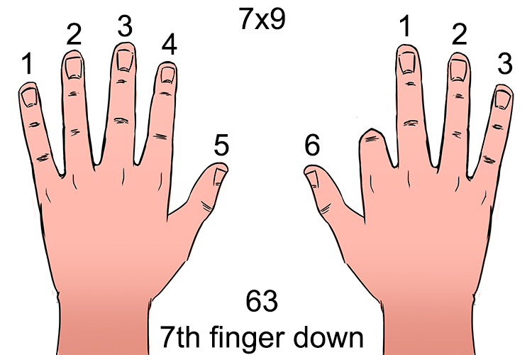 the 7th finger bent down would give 63.